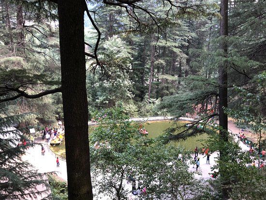 Manali Sanctuary